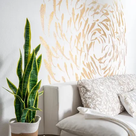 Domo De Oro * 바야사드리니아